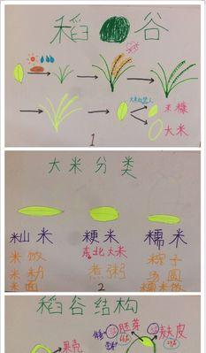 老挑毛制作教程（打造个性化的毛绒玩具，让你的创意大爆发！）