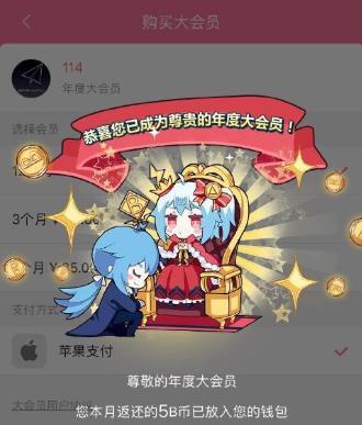 探究Bilibili大会员的优势与体验（解析大会员的各项特权，畅享全方位的B站世界）