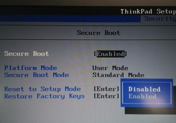 电脑双系统教程（在一台电脑上同时运行Windows和Linux，提升工作效率和学习体验）