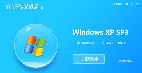 大白菜XP纯净版教程（系统优化、软件选择、安装步骤，一篇搞定！）