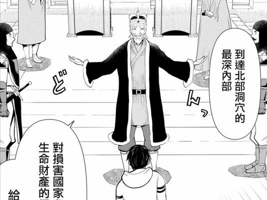 Plufy移动电源（一款高品质、高容量、多功能的移动电源）