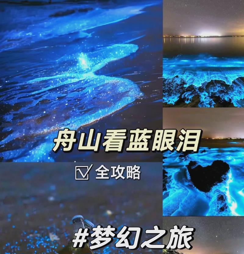 同创国芯（以创新技术引领，打造国产芯片的辉煌未来）