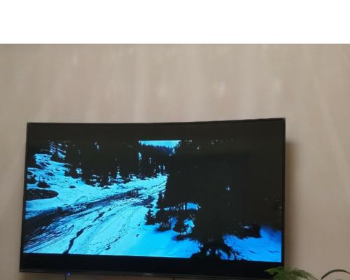海信曲面屏电视——家庭娱乐的绝佳选择（全新视觉体验，享受尽在眼前）