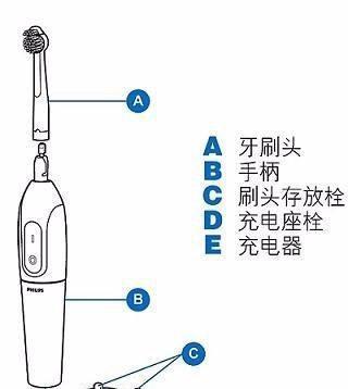 多用牙刷会对牙齿造成什么影响？（牙齿过度刷洗的危害及预防措施）