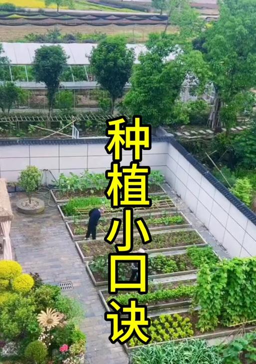 在家里种蔬菜的乐趣（简单实用的居家种菜指南）