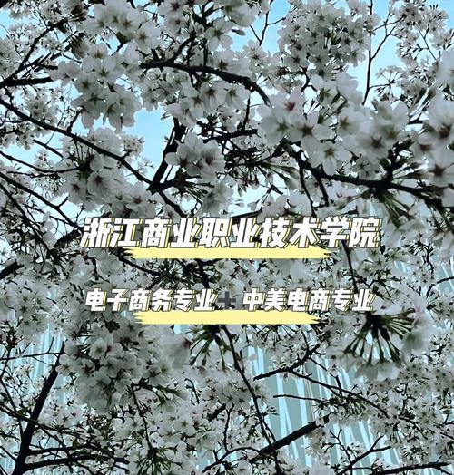 职校电子商务培养学生就业竞争力的重要性（为未来就业打下基础，电子商务是必修课！）