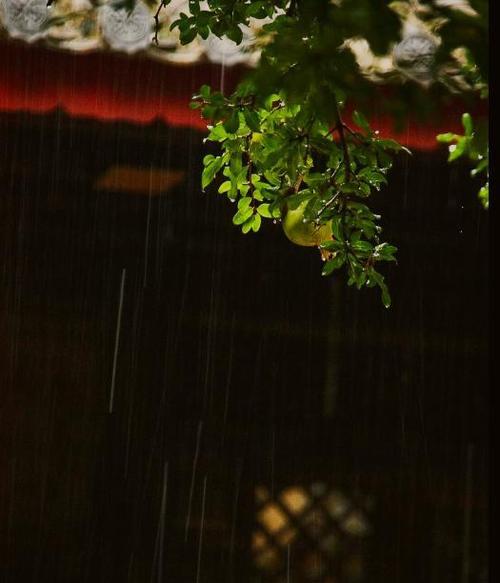 雨天的诗意世界（探寻雨滴的韵律，感受大自然的恩赐）