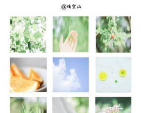 电脑摄影后期教程（用电脑后期技巧打造出色的静物摄影作品）
